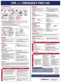Emergency First Aid Poster